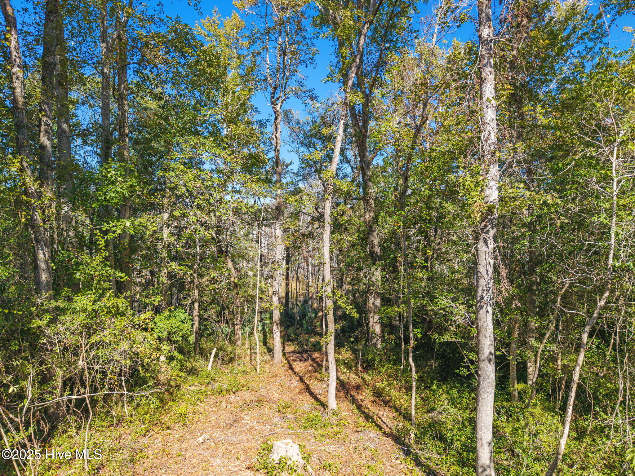 Lot 1 & 4 1, 4 Midway Road SE