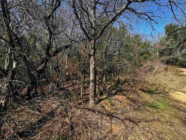 Lot 12 Longhorn DR