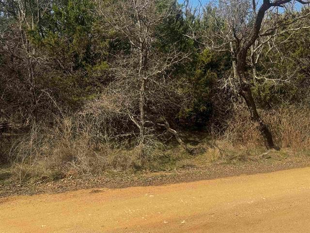 Lot 12 Longhorn DR