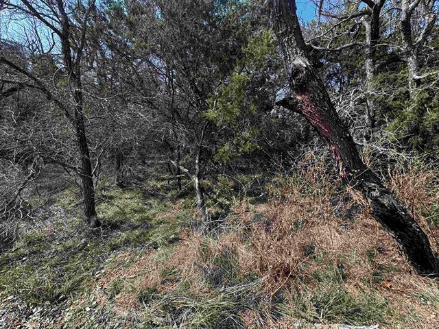Lot 12 Longhorn DR