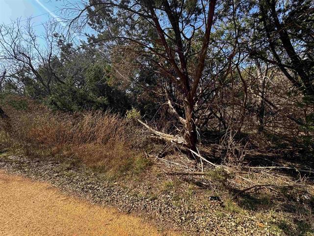 Lot 12 Longhorn DR