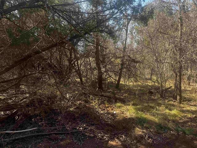 Lot 12 Longhorn DR