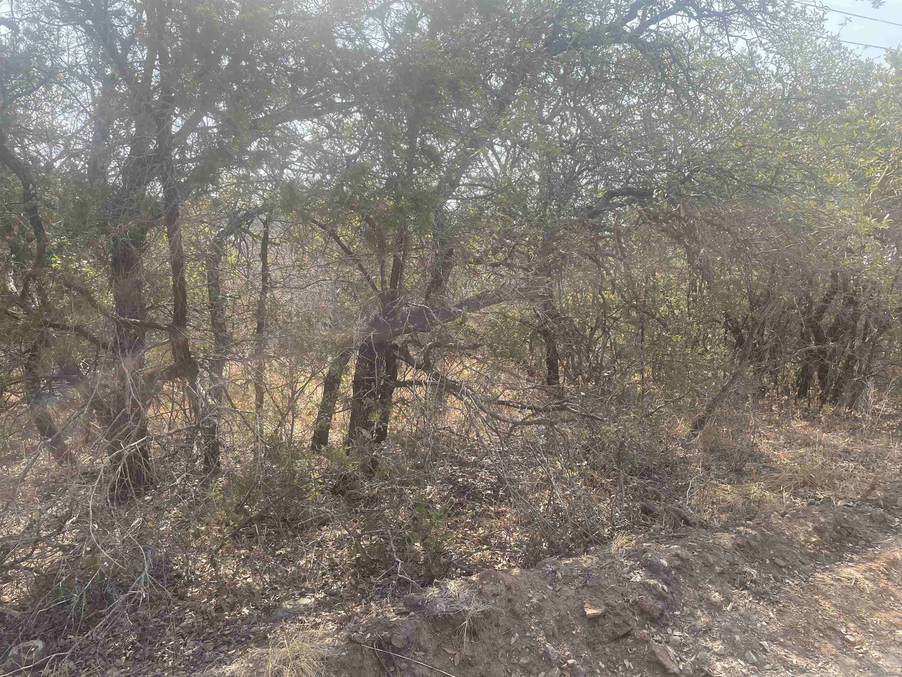 00 Nature