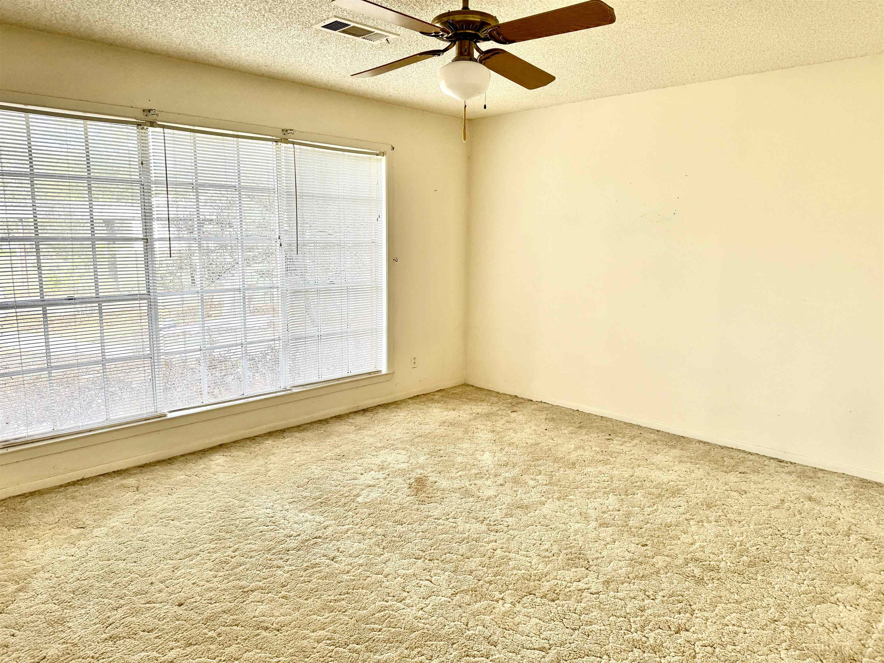 601 S Chaparral