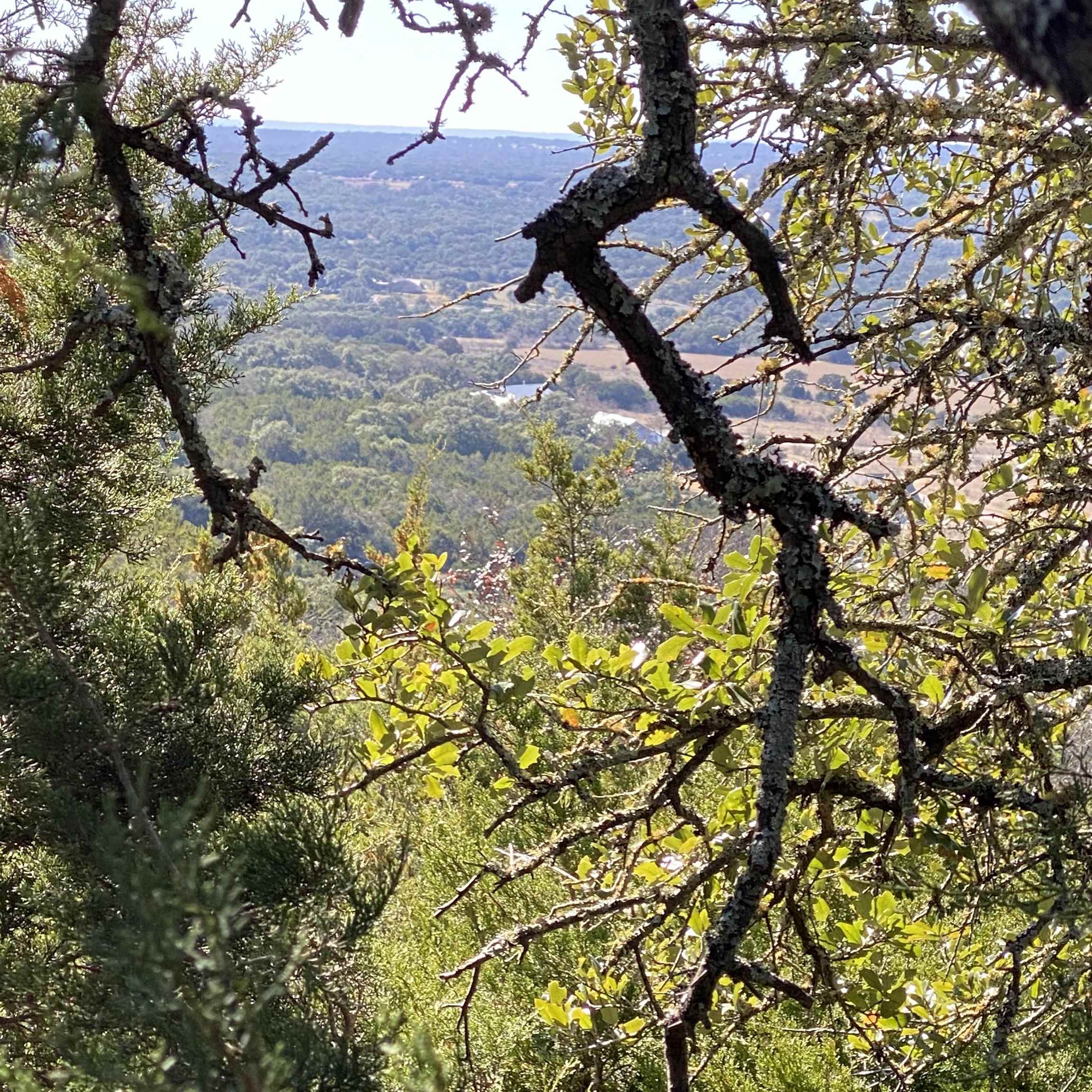 Lot 24 Eagle Ridge