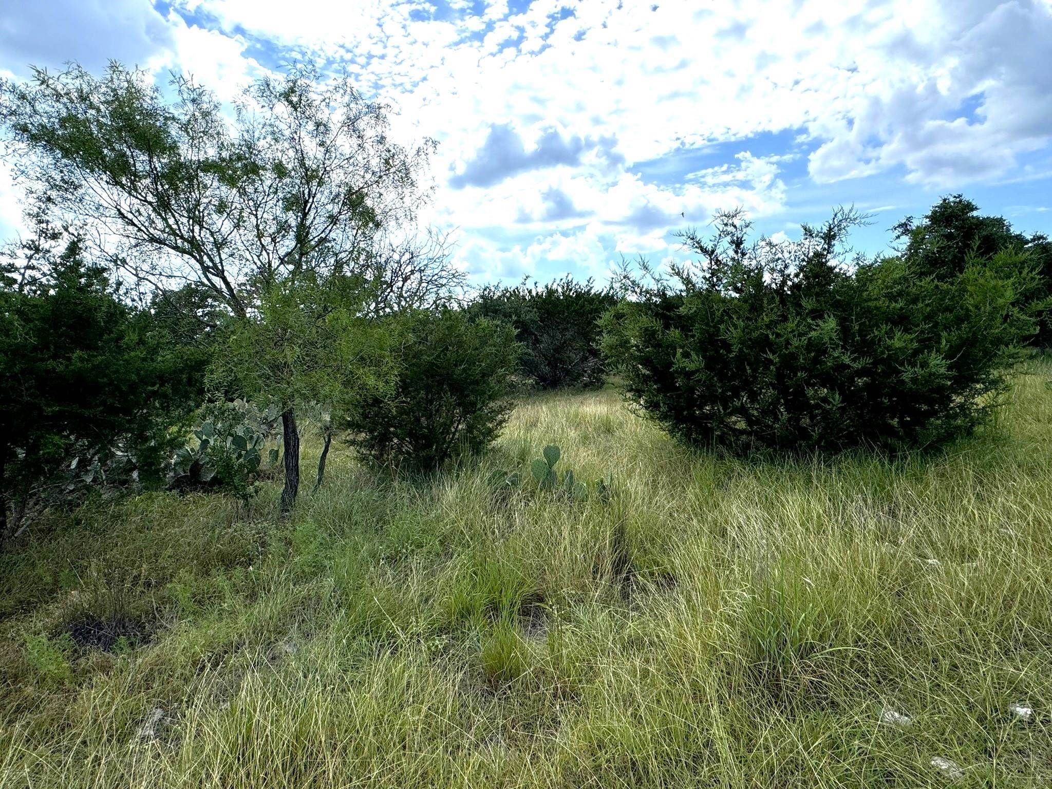Lot 24 Eagle Ridge