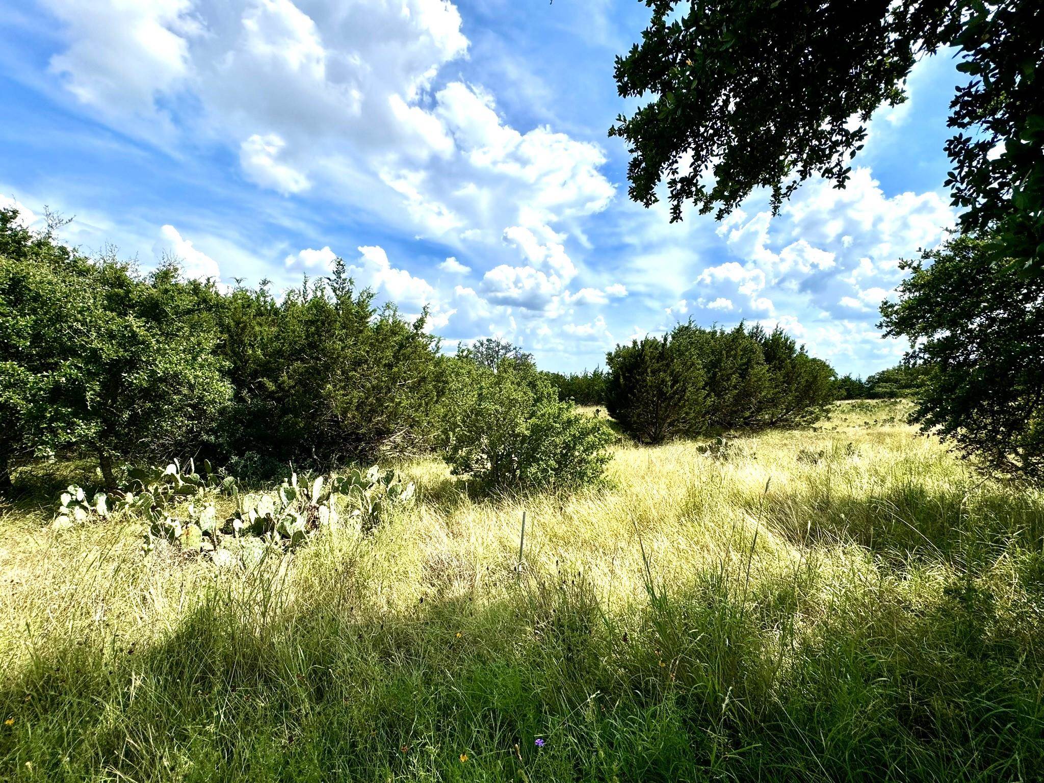 Lot 24 Eagle Ridge