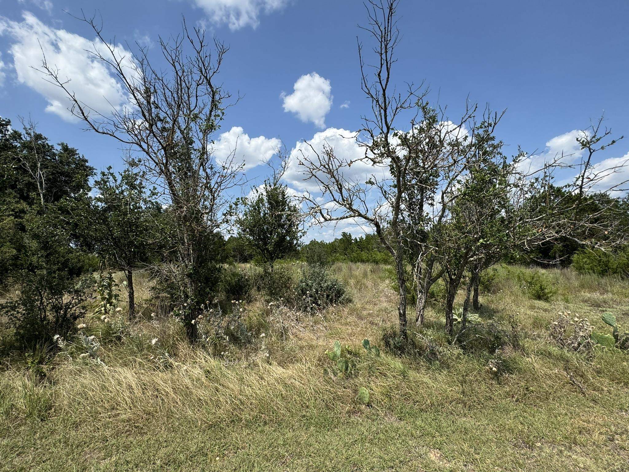 421 Eagle Ridge