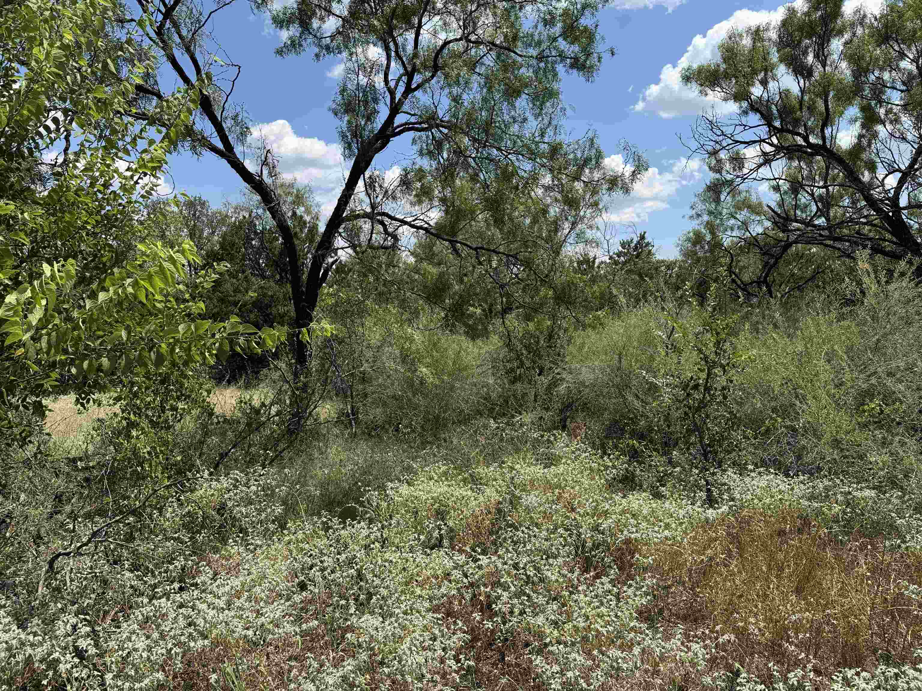 000 Navajo