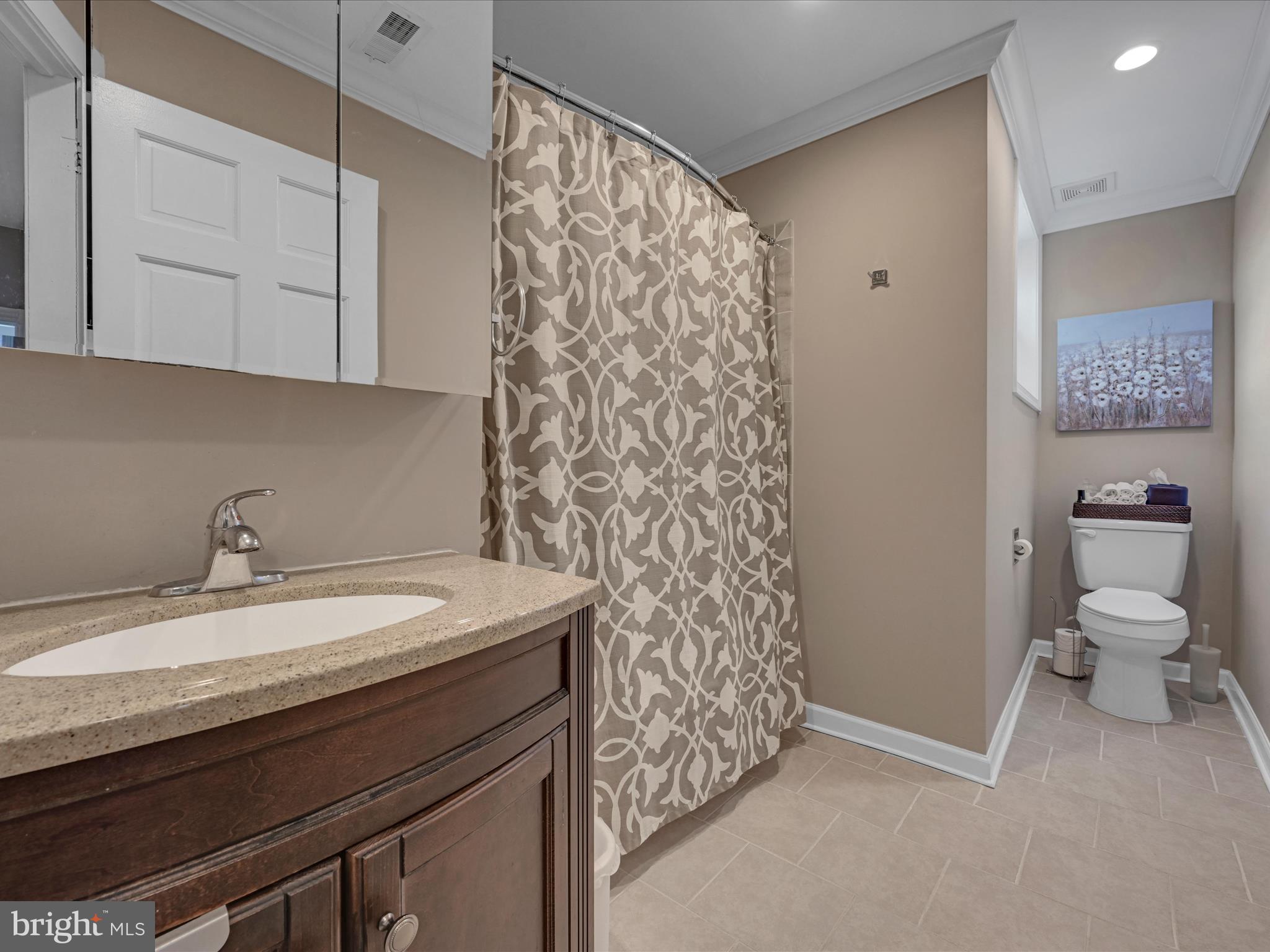 Bathroom with a dark wood vanity, patterned shower curtain, and toilet alcove.