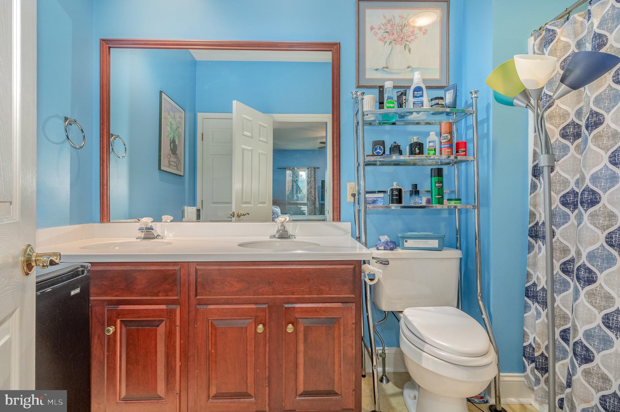 Bathroom with blue walls, dark wood double vanity, large mirror, and patterned shower curtain.