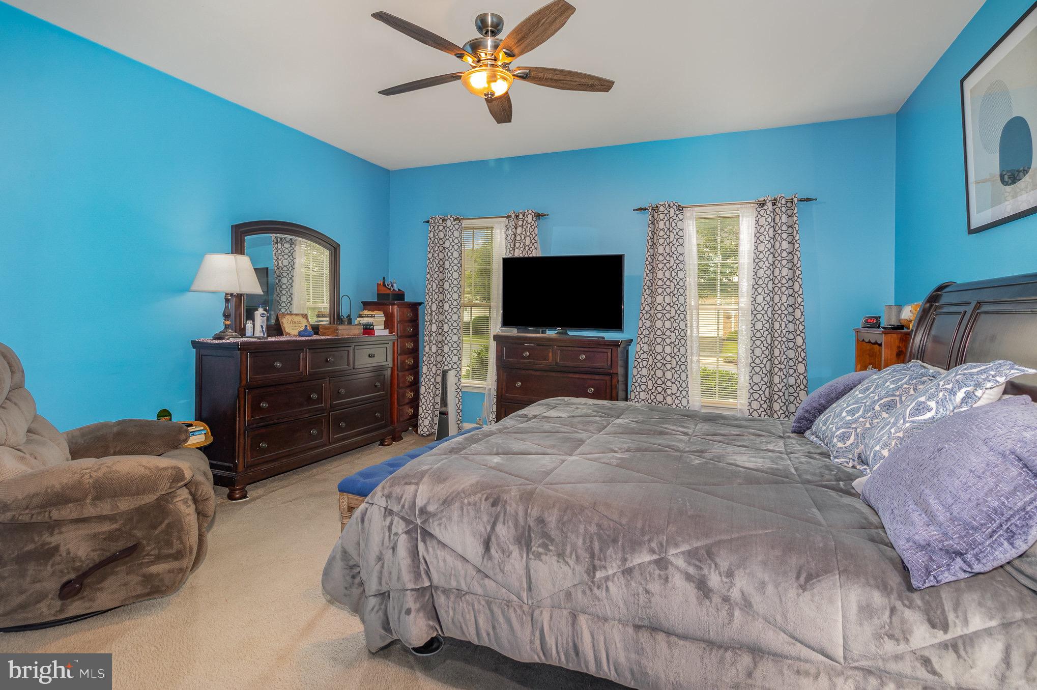 Furnished bedroom with vivid blue walls, a large gray-covered bed, dark wood dressers, and a ceiling fan.