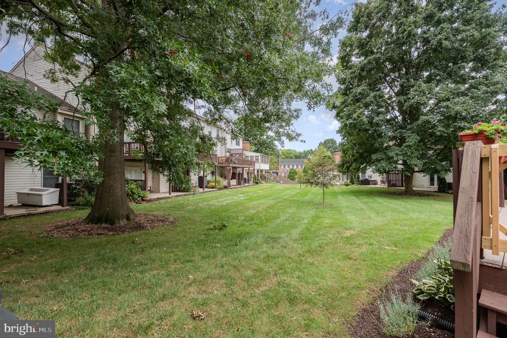 Shared lawn between attached homes, framed by mature trees and wooden decks.