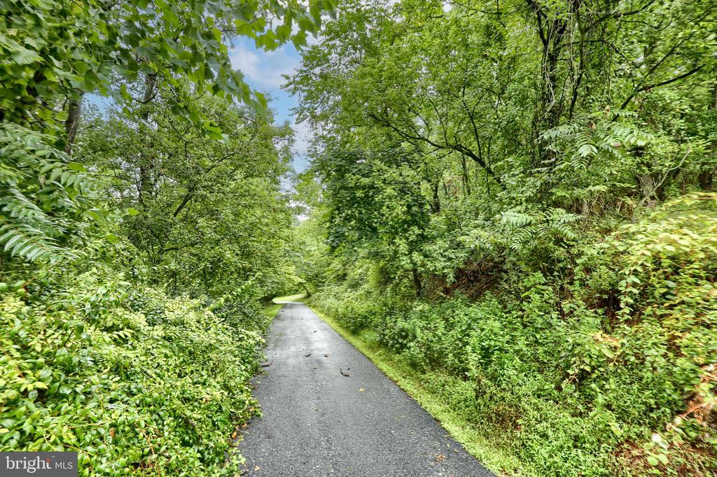 Paved driveway winding through dense green woodland beneath a leafy canopy.