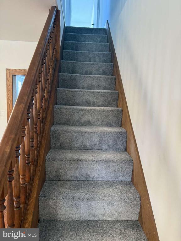 Carpeted staircase with a dark wood banister and a bright window at the top.