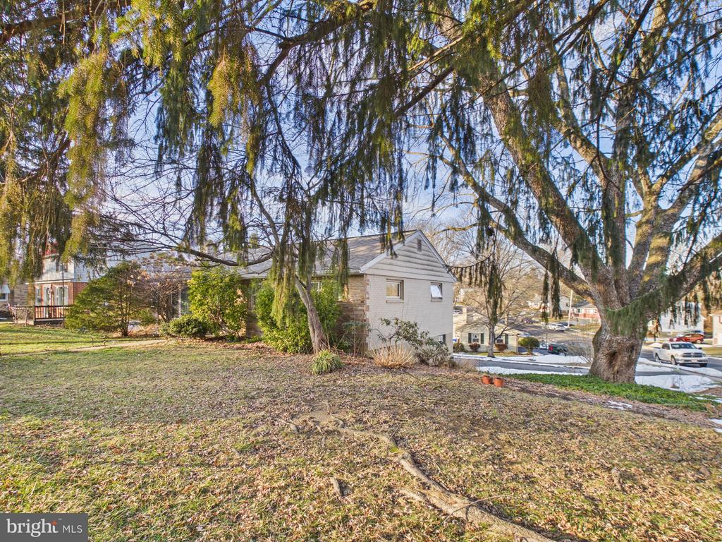 20 CIRCLE ROAD