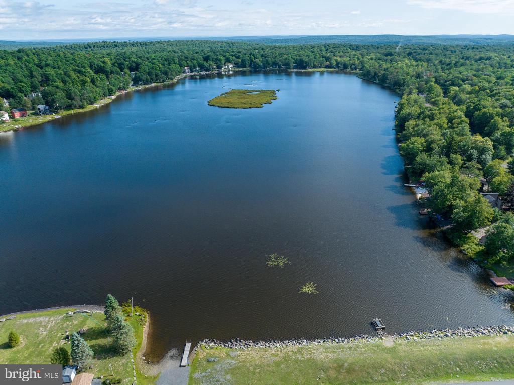 Aerial view of a wooded lake with a small marshy island and shoreline docks.
