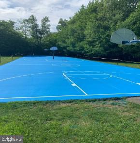 Blue outdoor basketball court with two hoops, grass, and mature trees.