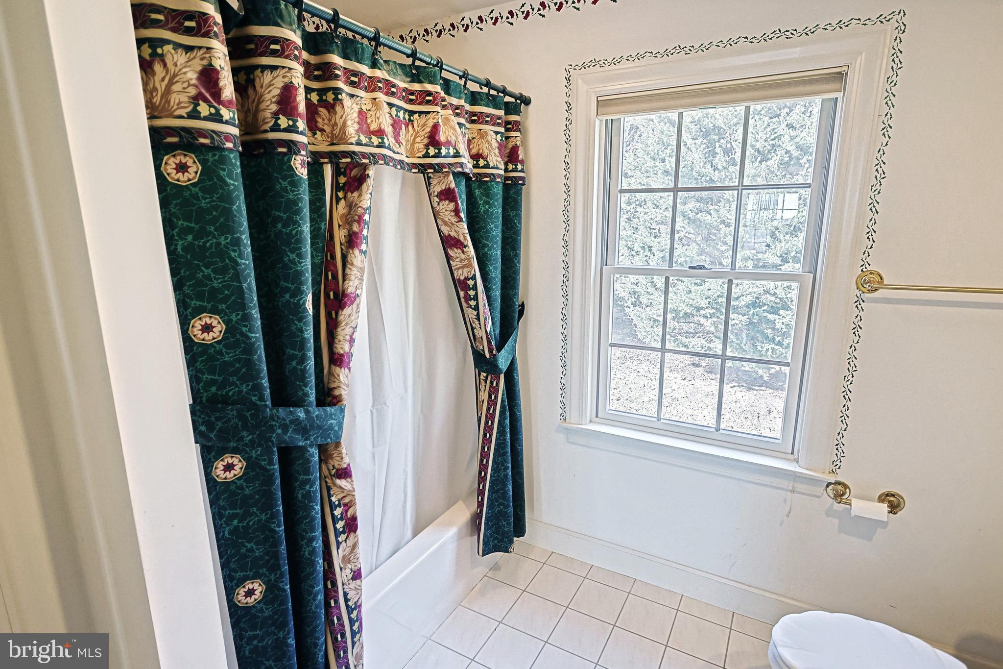 Bathroom with patterned shower curtains, a bright window, tiled floor, and part of a toilet.