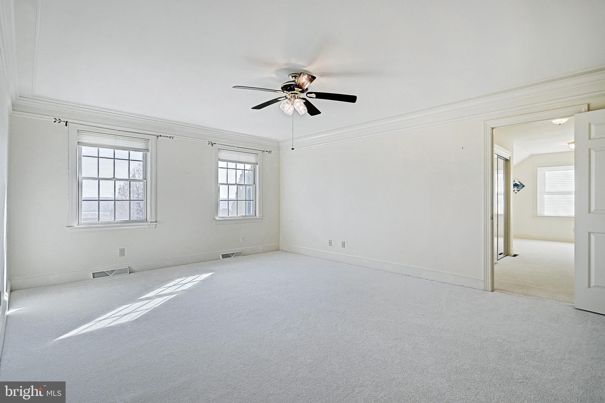 Empty carpeted bedroom with two windows, crown molding, and a ceiling fan.