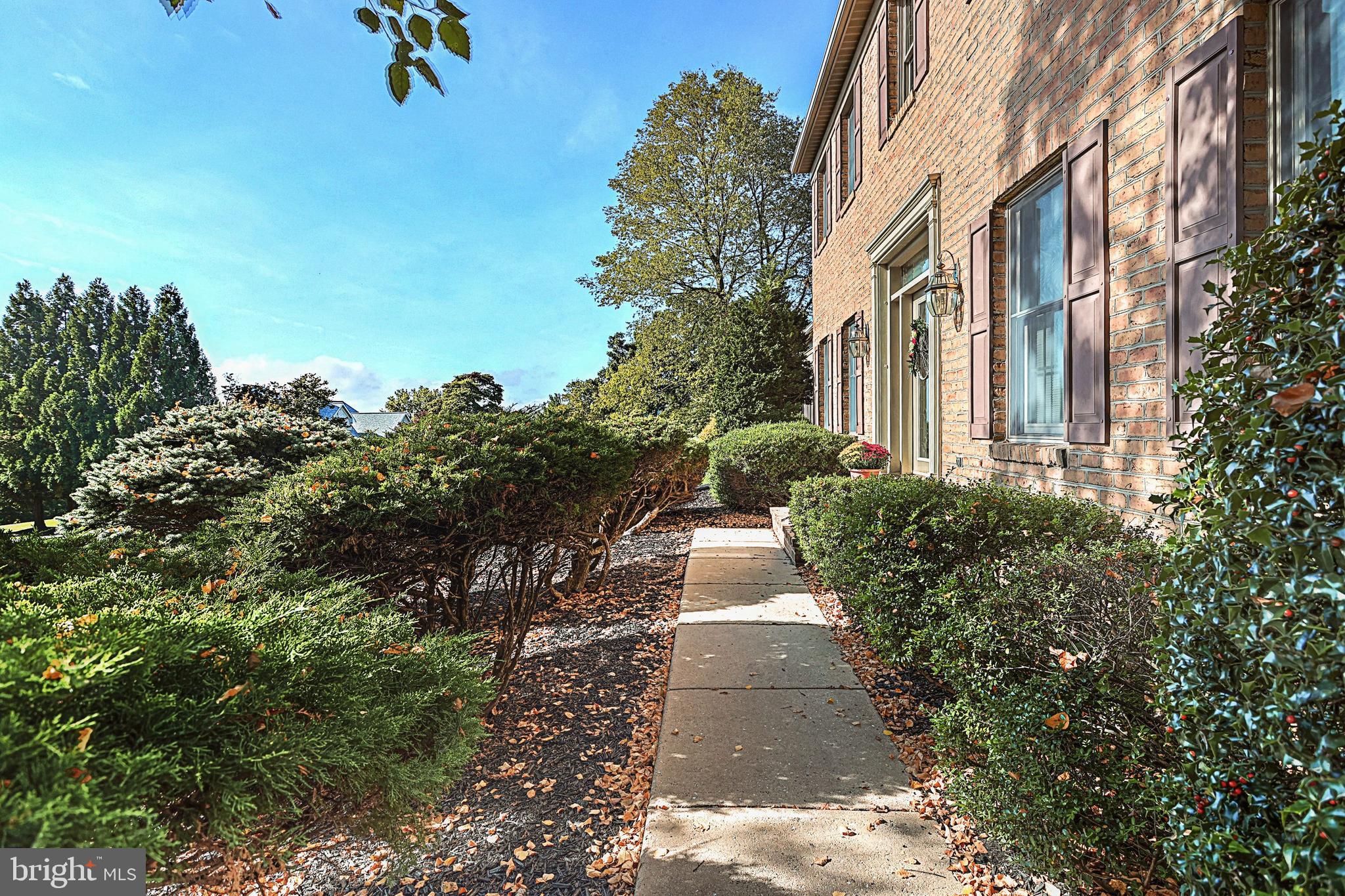 Brick home entrance with a concrete walkway bordered by manicured shrubs and landscaping.