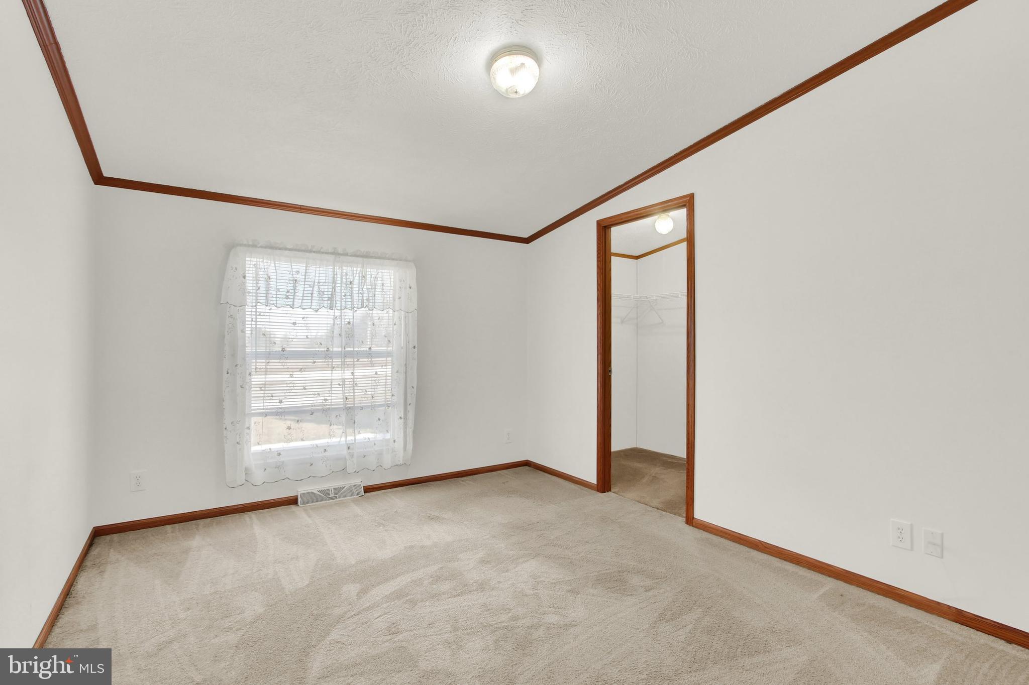 Empty carpeted bedroom with wood trim, a curtained window, and an open closet doorway.