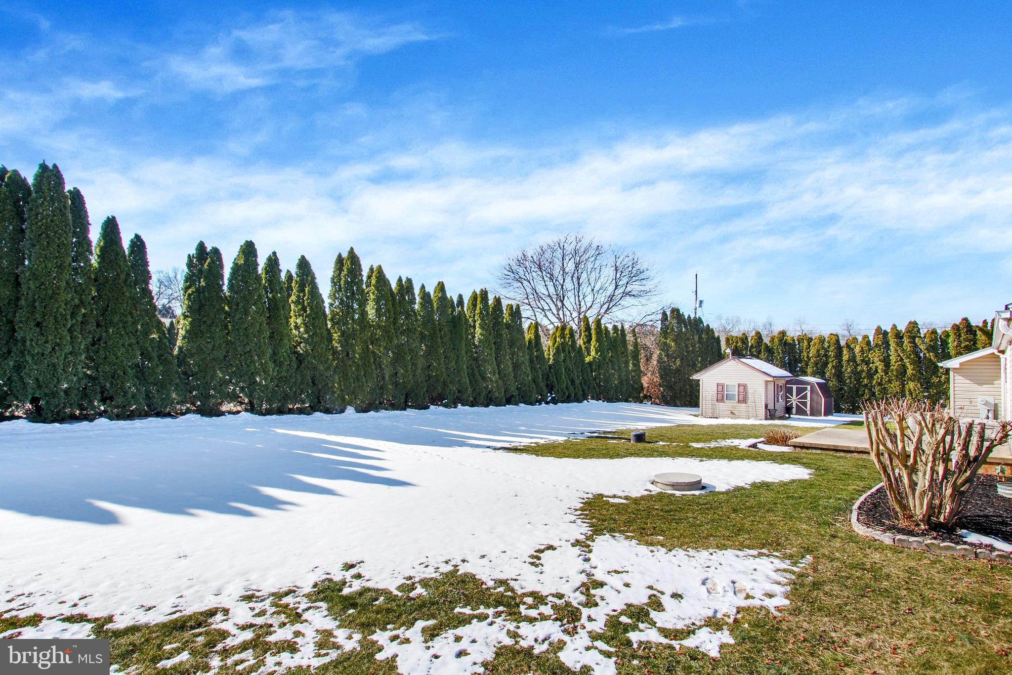 Snow-covered backyard bordered by evergreens, with a small shed and patio.