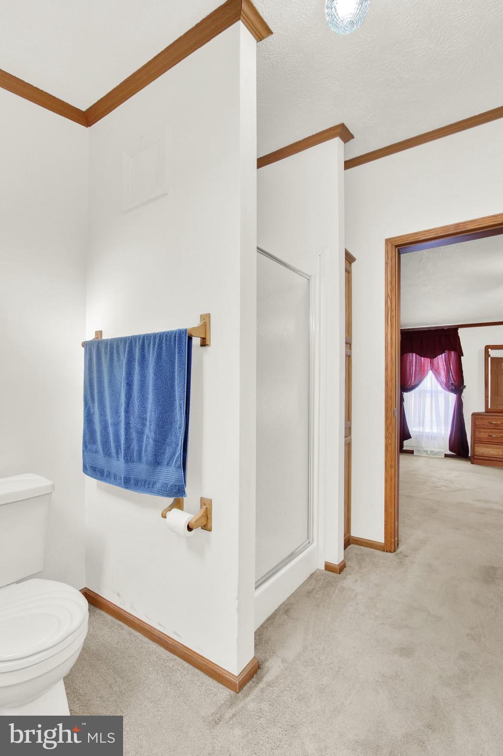 Bathroom with glass shower and blue towel, opening onto a bedroom with burgundy curtains.
