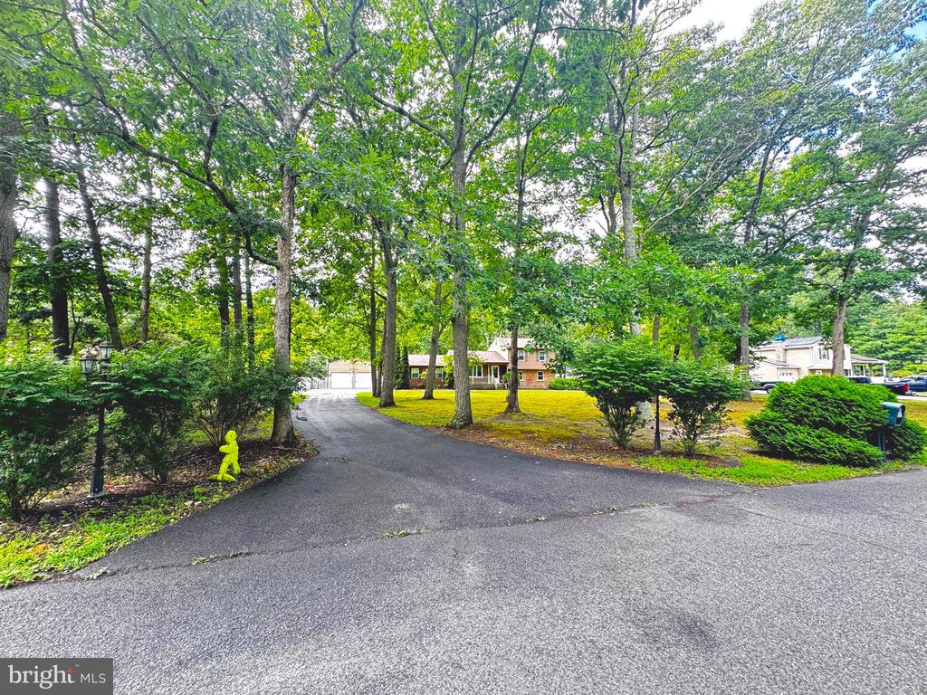 19 ELMWOOD DRIVE