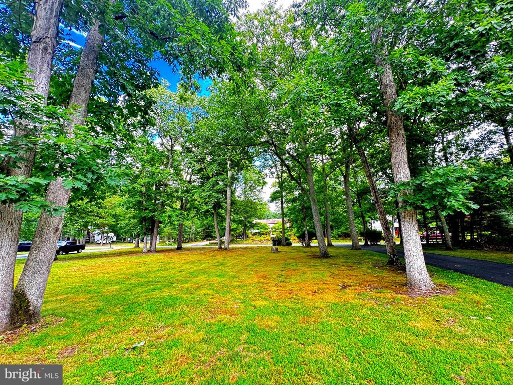 19 ELMWOOD DRIVE