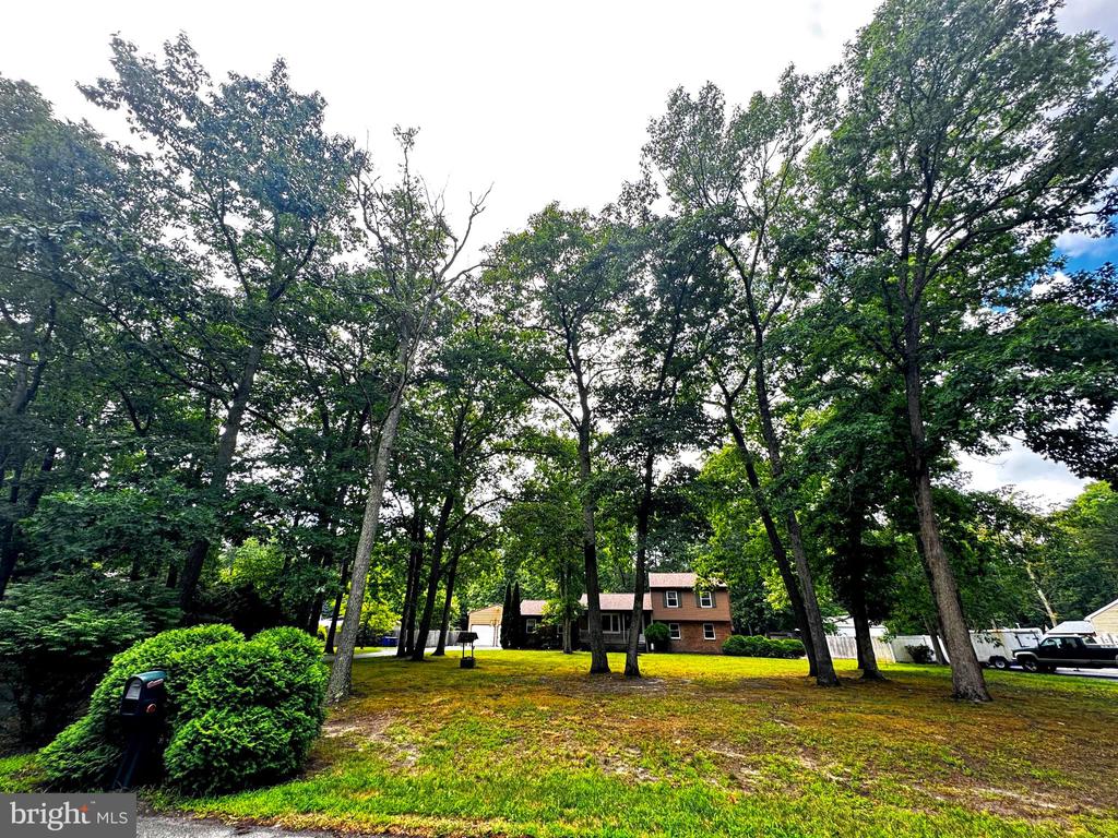 19 ELMWOOD DRIVE