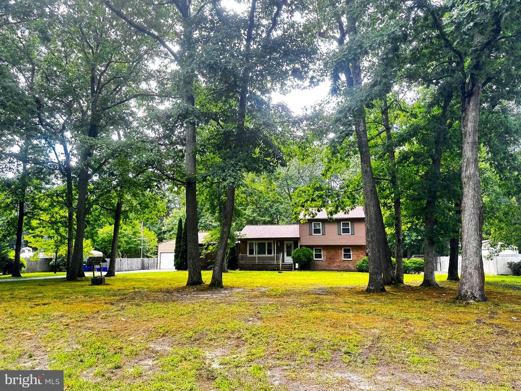 19 ELMWOOD DRIVE