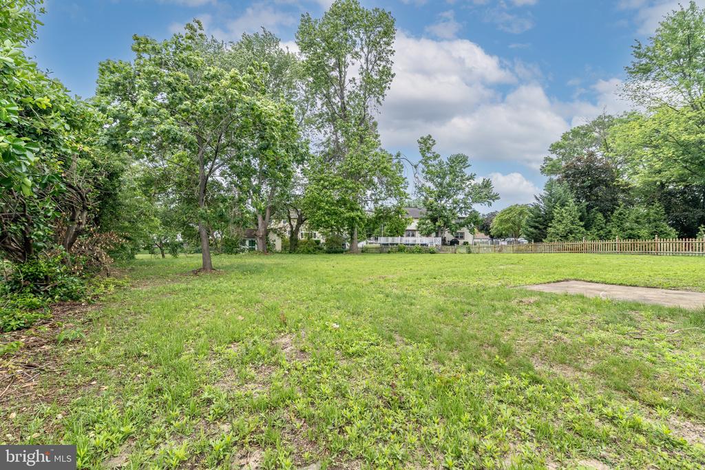 203 SHENANDOAH ROAD