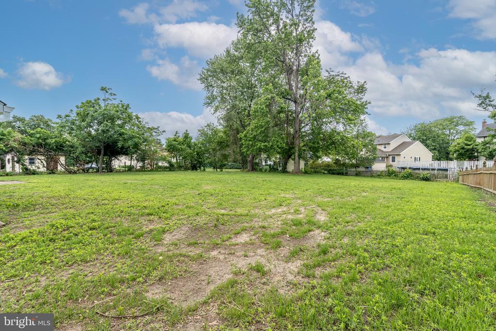 203 SHENANDOAH ROAD