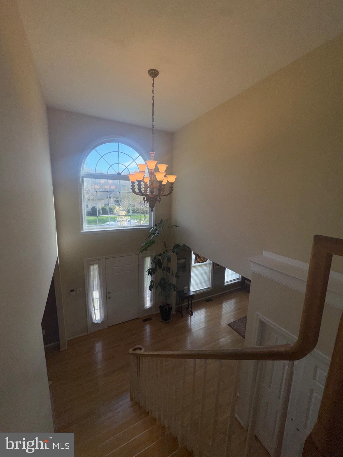 3 SUNFLOWER CIRCLE