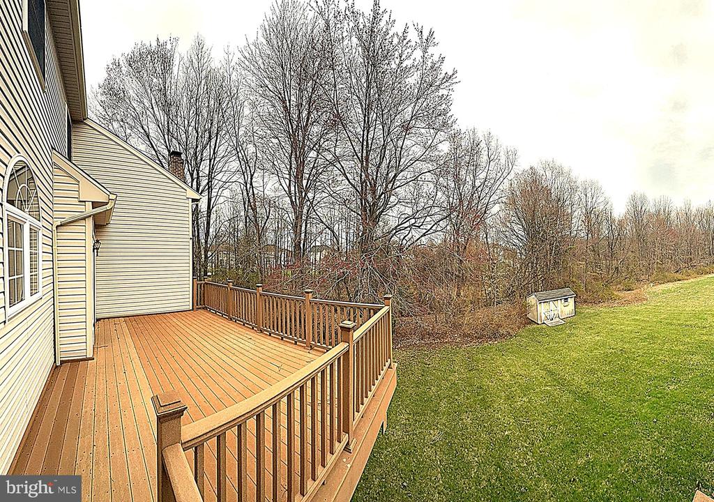 3 SUNFLOWER CIRCLE