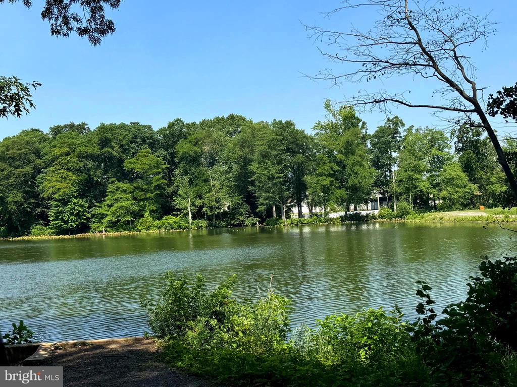 25 WALNUT DRIVE