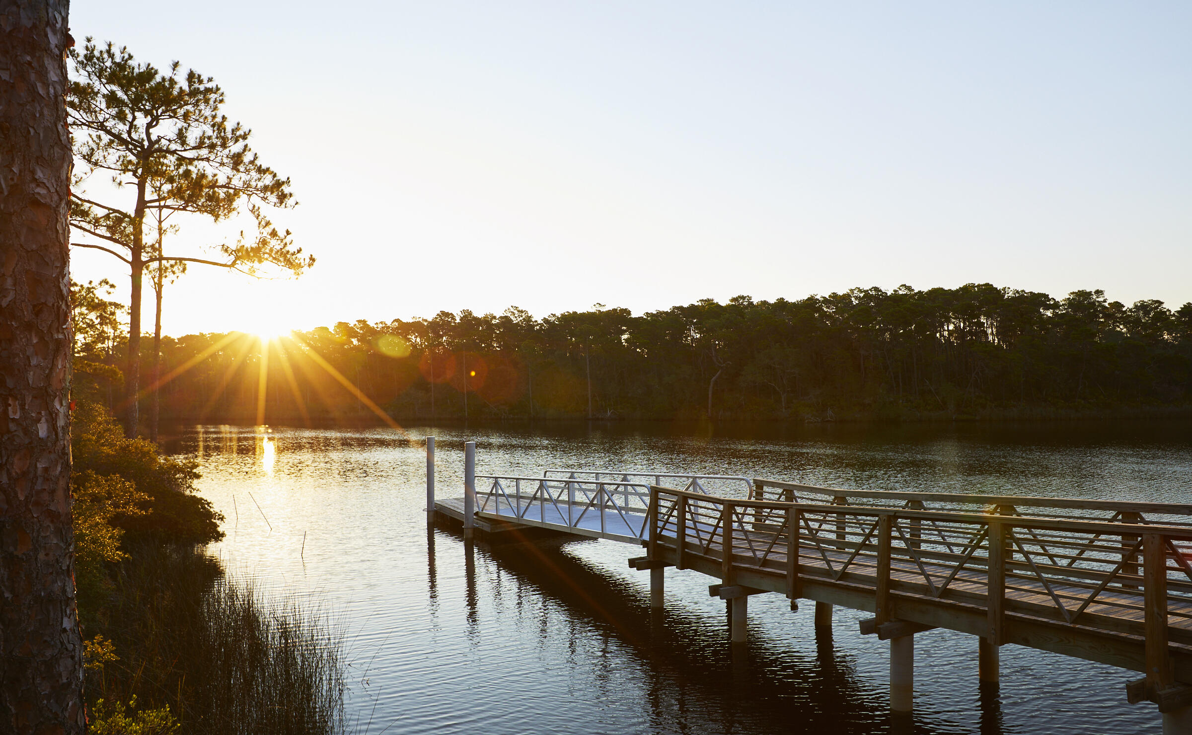 184 E Firethorn Circle, Lot 53