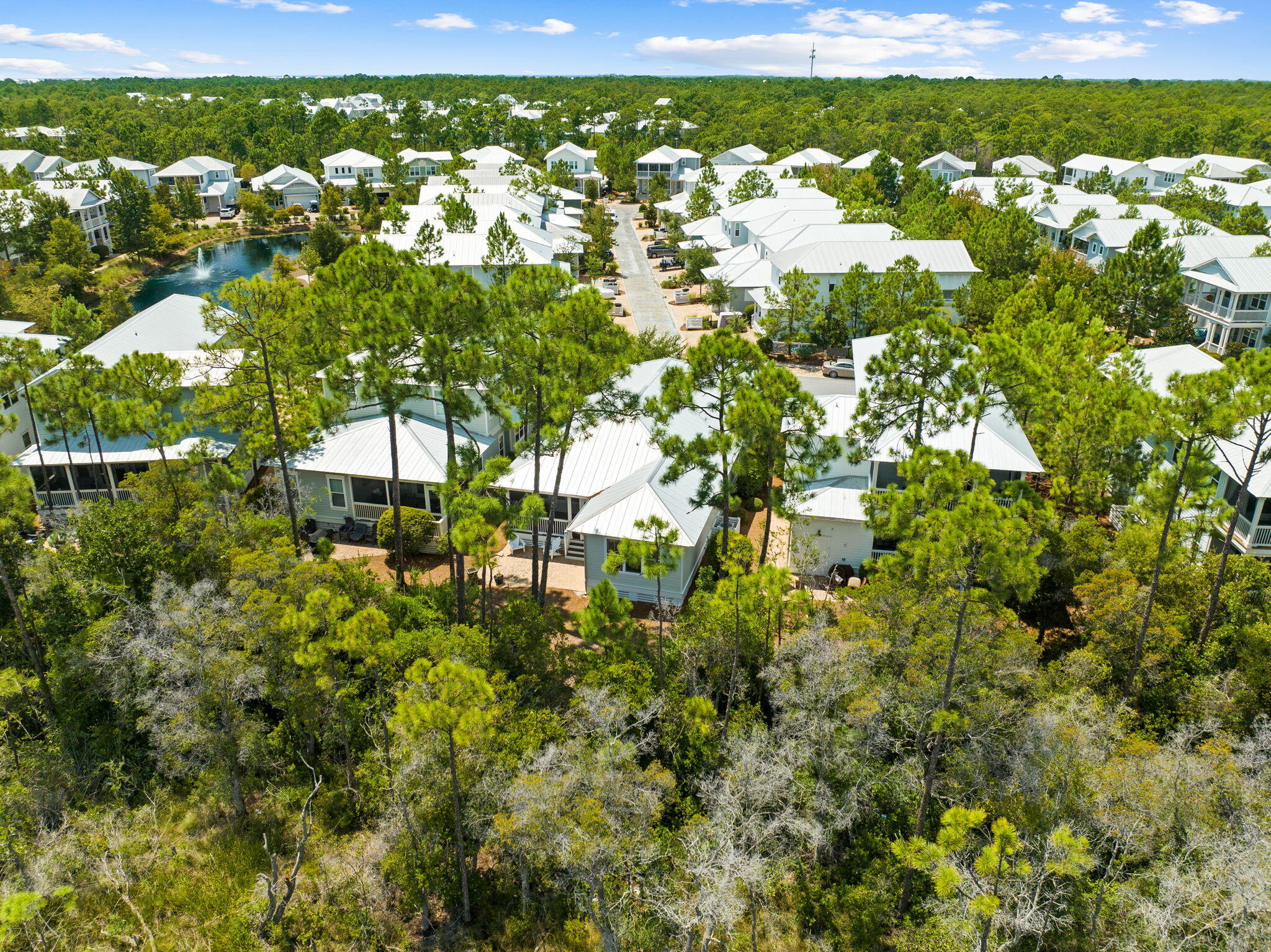 547 Flatwoods Forest Loop