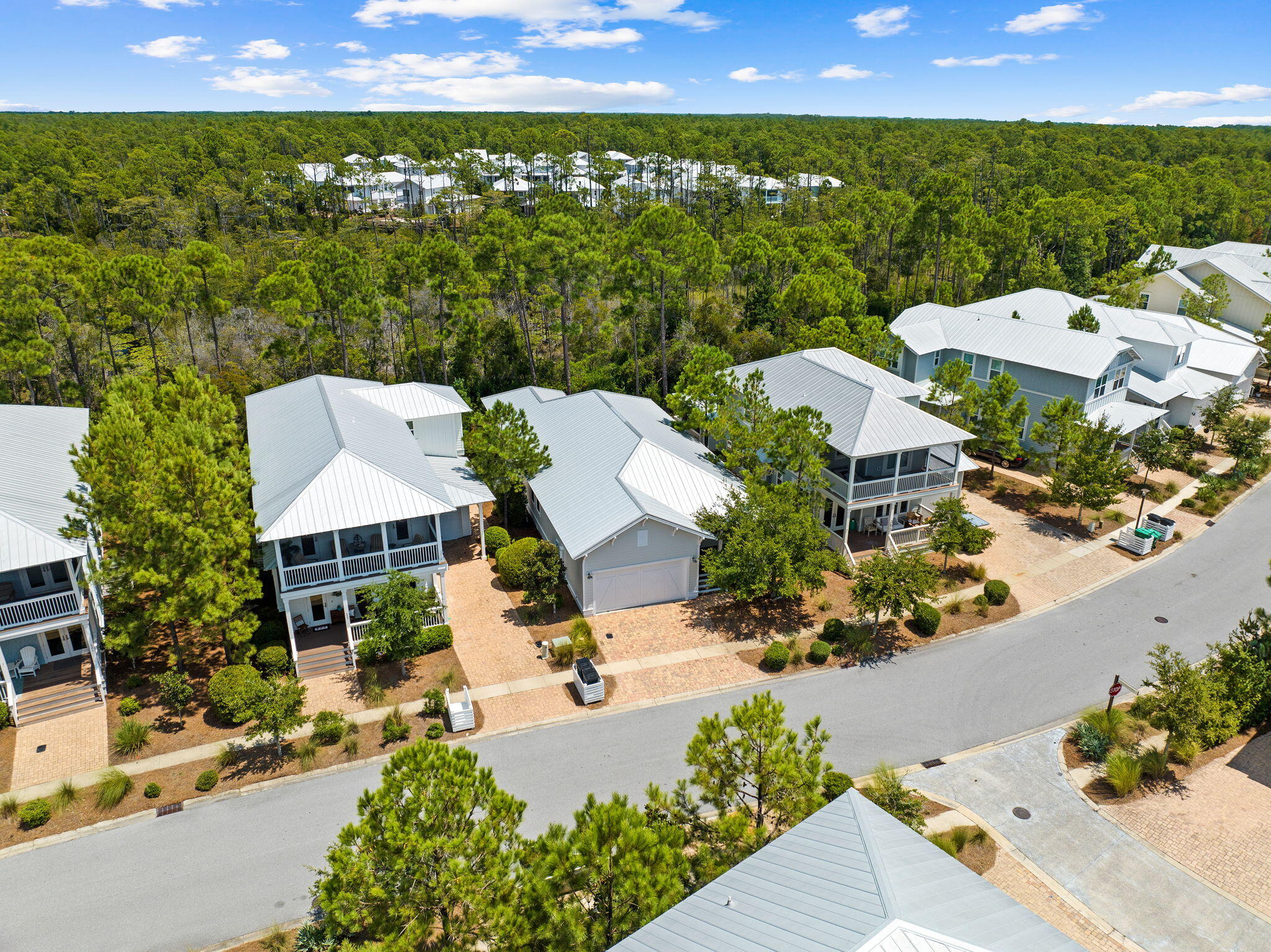547 Flatwoods Forest Loop