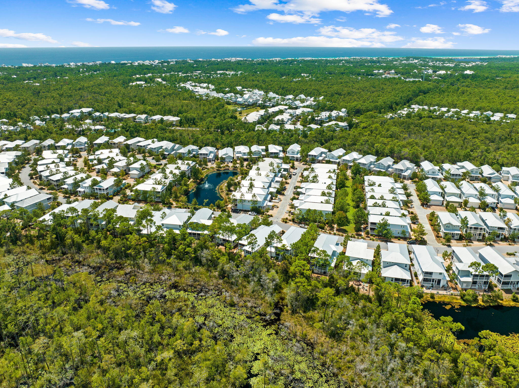 547 Flatwoods Forest Loop
