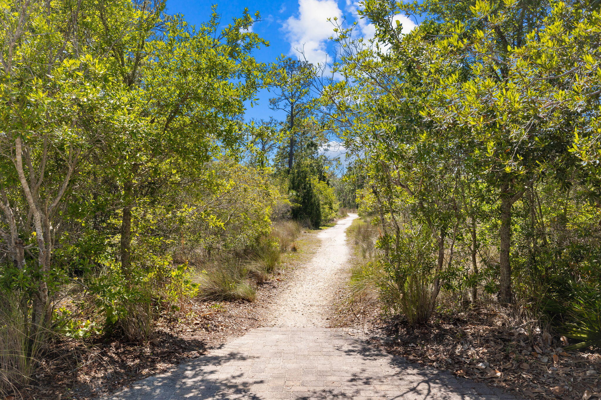 547 Flatwoods Forest Loop