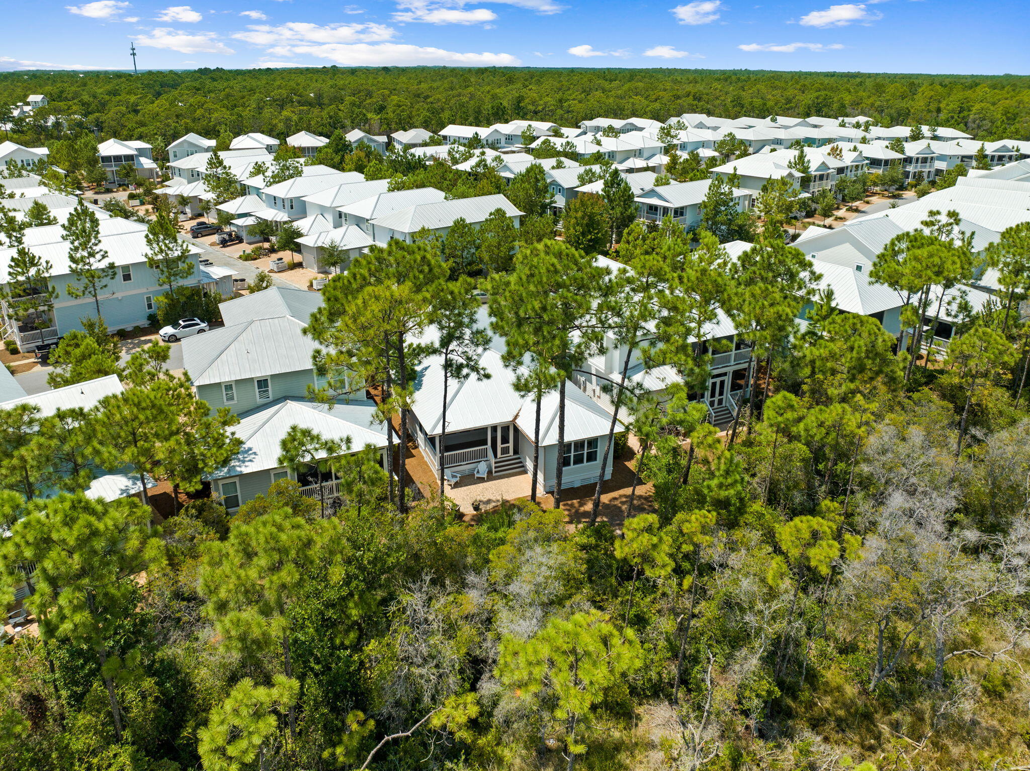 547 Flatwoods Forest Loop
