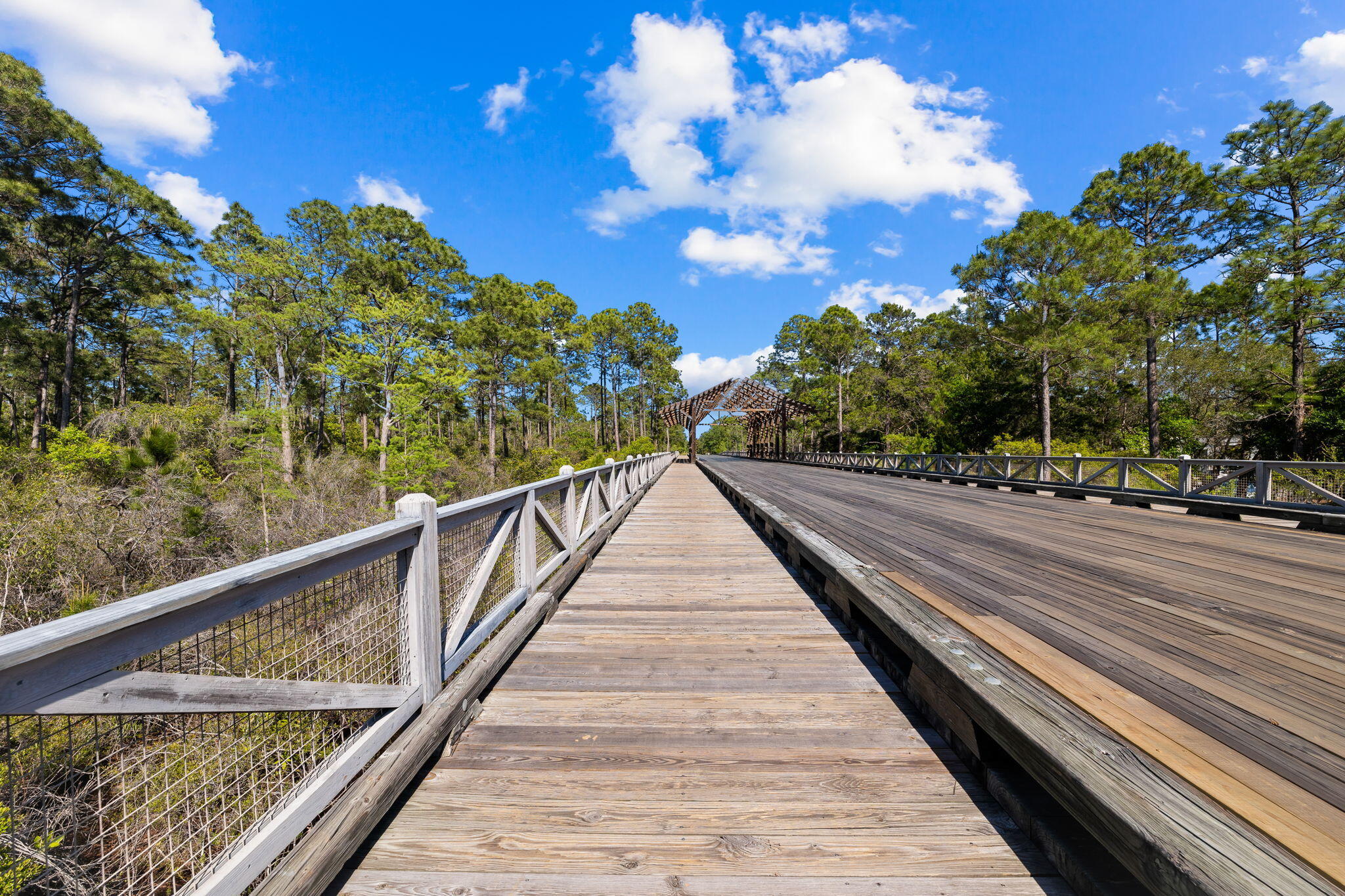 547 Flatwoods Forest Loop