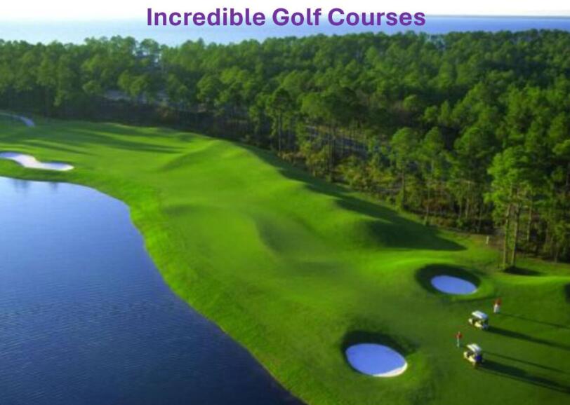 224 Sandhill Pines Drive