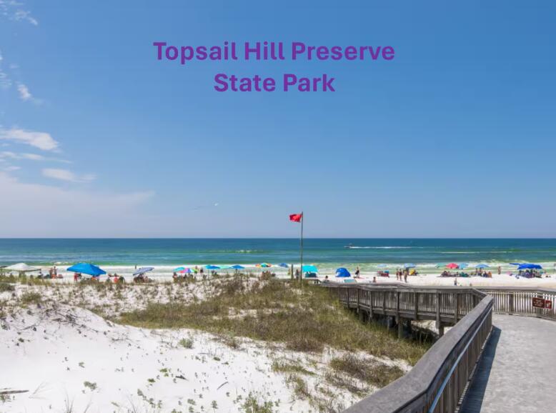 224 Sandhill Pines Drive