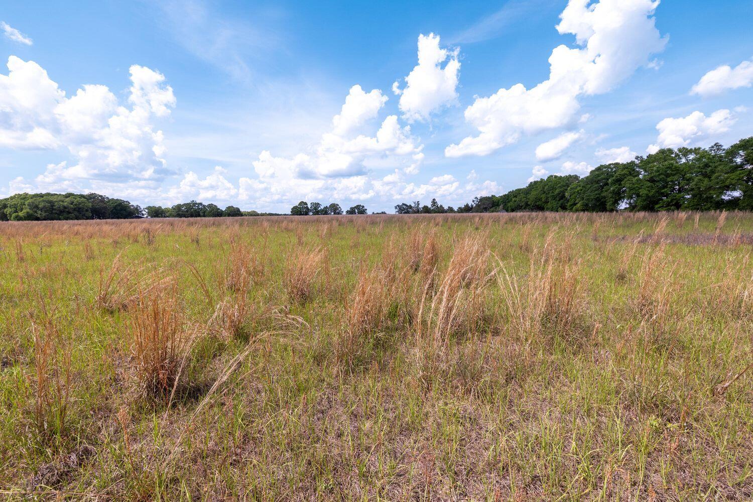 1704 Cobb Road