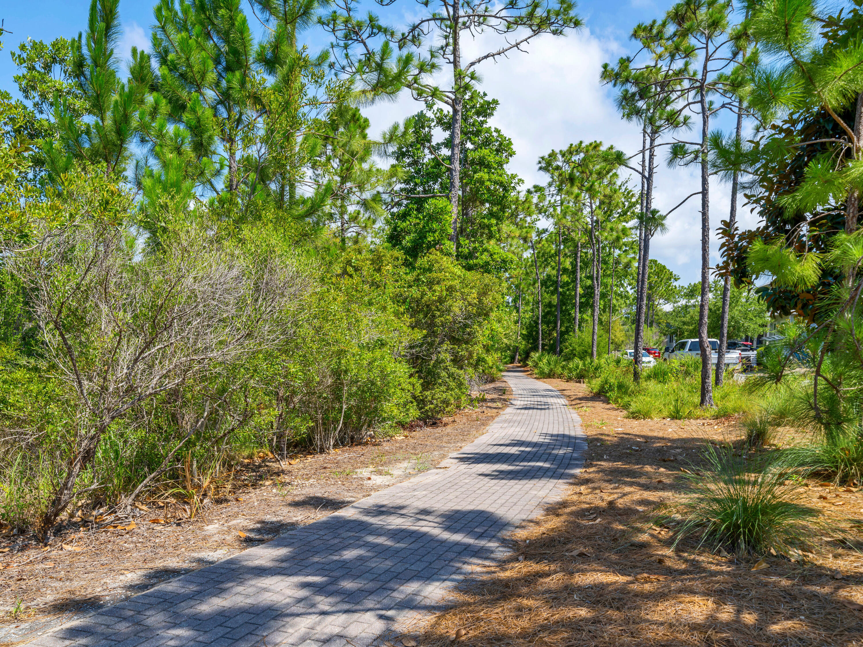 616 Sandgrass Boulevard