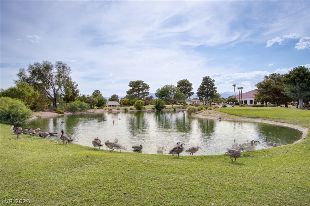 4920 Winterset Drive