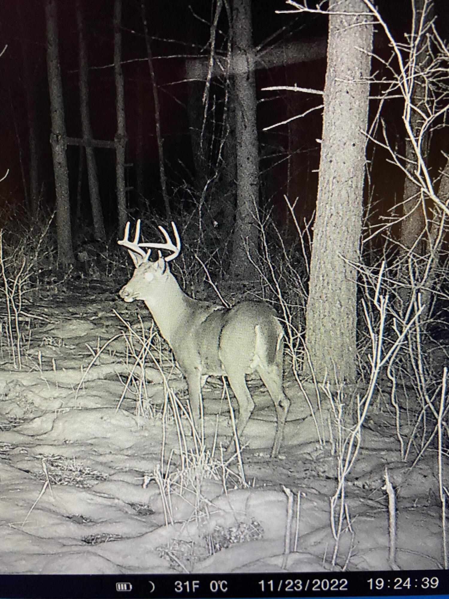 9710 11 Mile Road NE